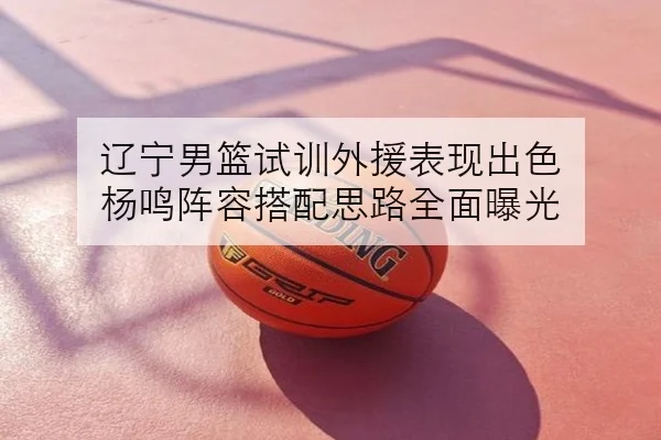 辽宁男篮试训外援表现出色 杨鸣阵容搭配思路全面曝光
